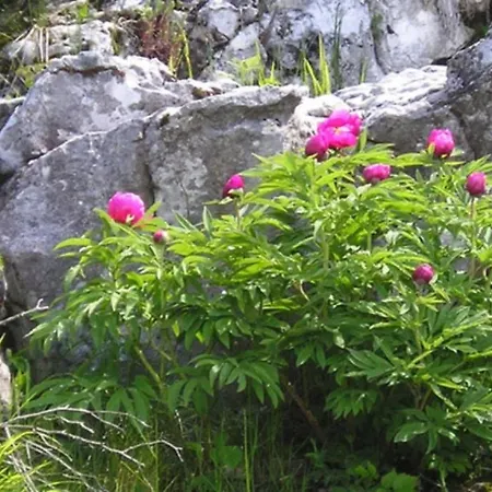 Schoene Mit Herrlichem Seeblick